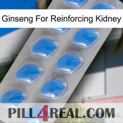 Ginseng For Reinforcing Kidney 22